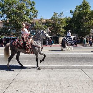 Meet your Posher, Cynthia